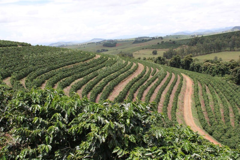 CooperRita coffee grown in the mountains of southern Minas