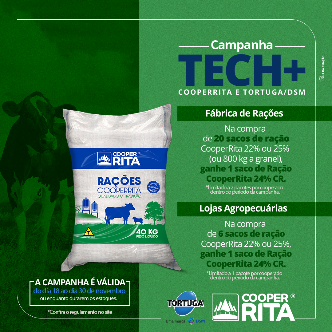 Campanha Tech+